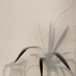 A plant and pitcher behind a shade. Photo courtesy of Masha Kotliarenko on Unsplash.