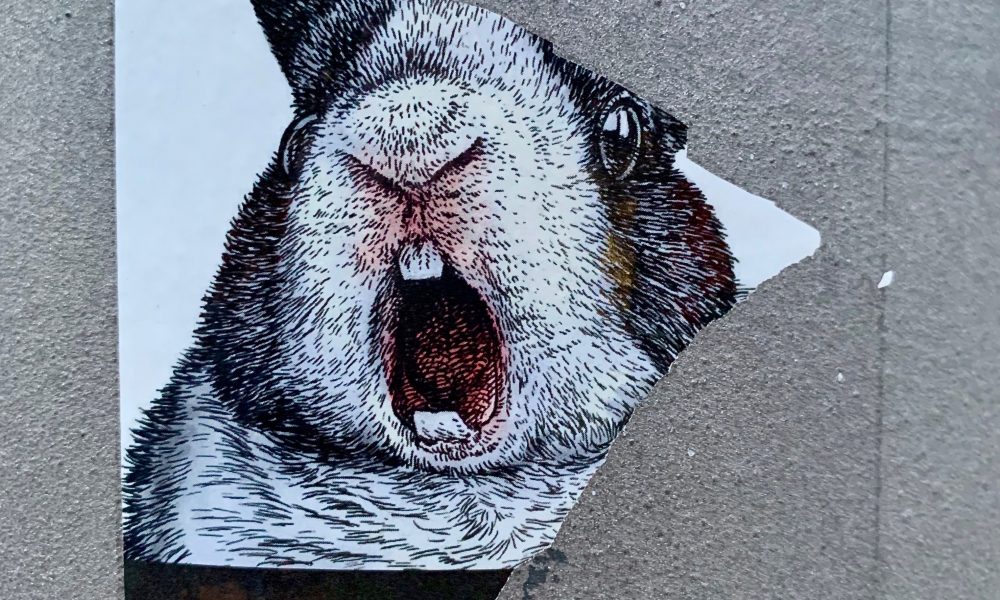 A ripped poster displaying a rabbit