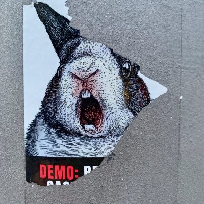 A ripped poster displaying a rabbit