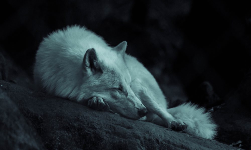 Photo courtesy of Grégoire Bertaud on Unsplash