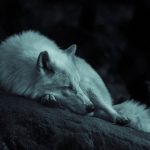 Photo courtesy of Grégoire Bertaud on Unsplash