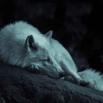 Photo courtesy of Grégoire Bertaud on Unsplash