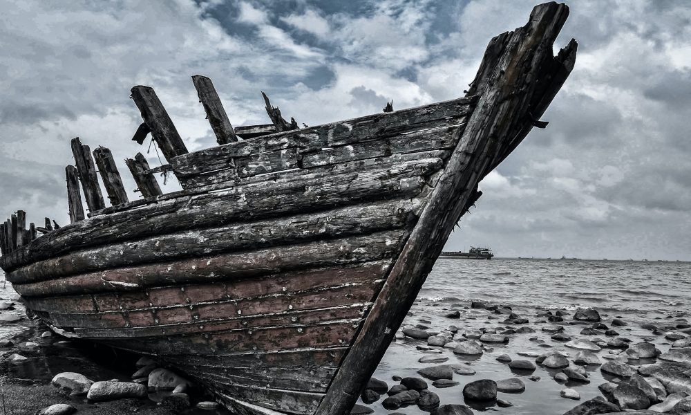 Photo courtesy of zhao chen on Unsplash