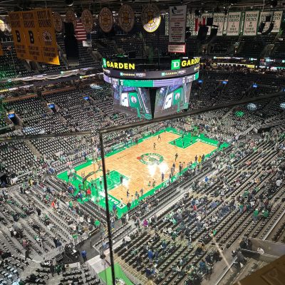 Picture of TD garden