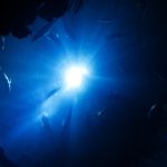 Animal, Asia, Blue image. Photo courtesy of Pixabay.