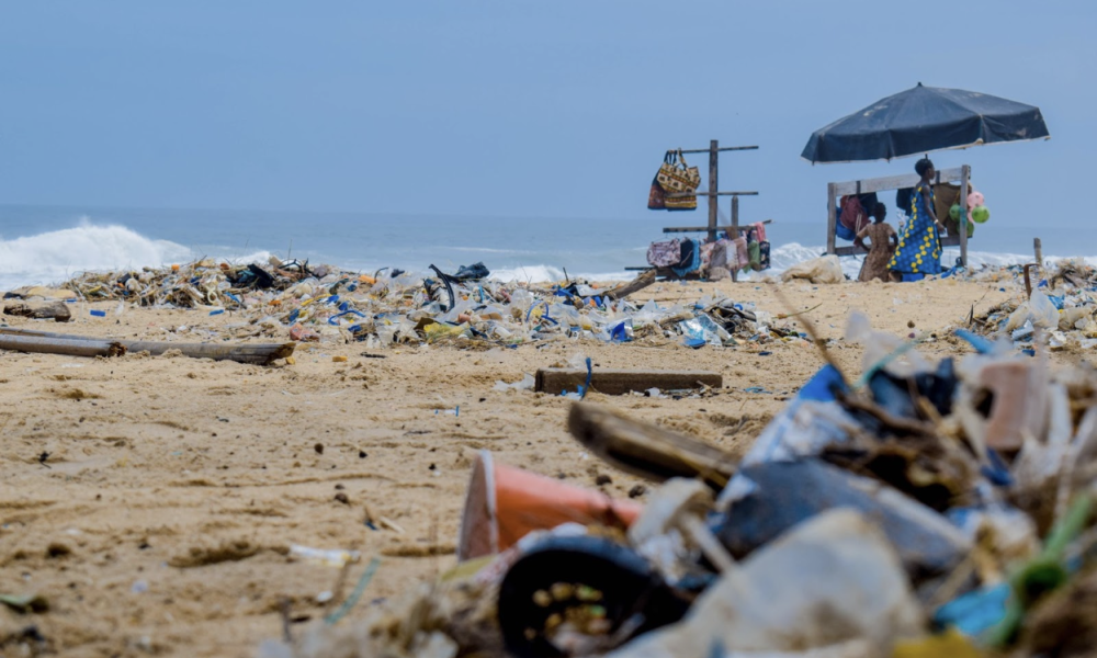 Photo from Lucia Wanda, published by Pexels