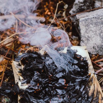photo of books burning