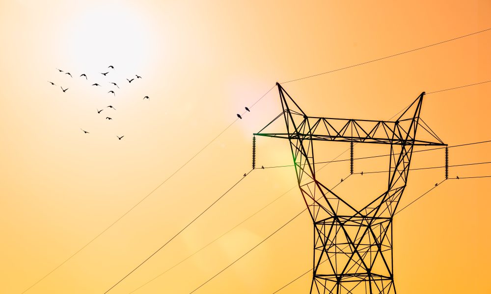 Flock of Birds Flying Over an Electrical Tower. Photo courtesy of Mian Rizwan on Pexels.