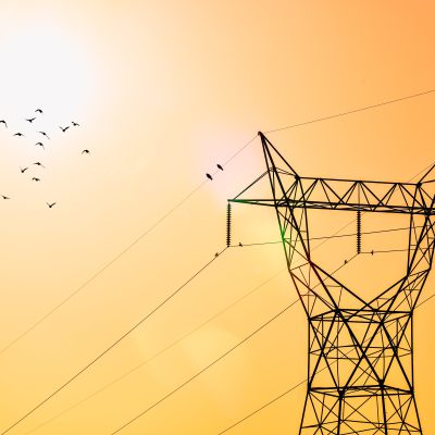 Flock of Birds Flying Over an Electrical Tower. Photo courtesy of Mian Rizwan on Pexels.