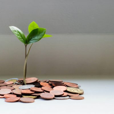 tree growing out of cents