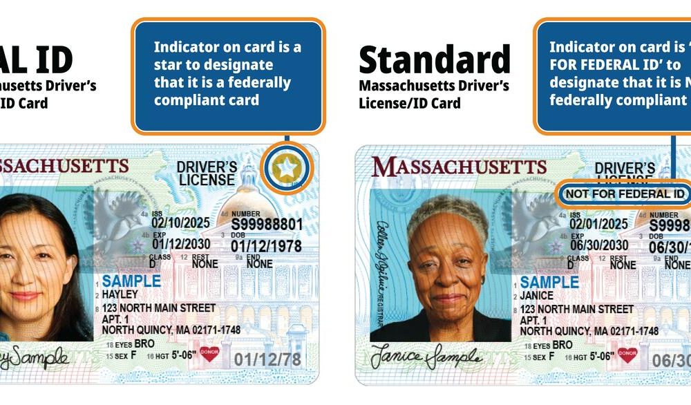 REAL ID versus a regular driver's license