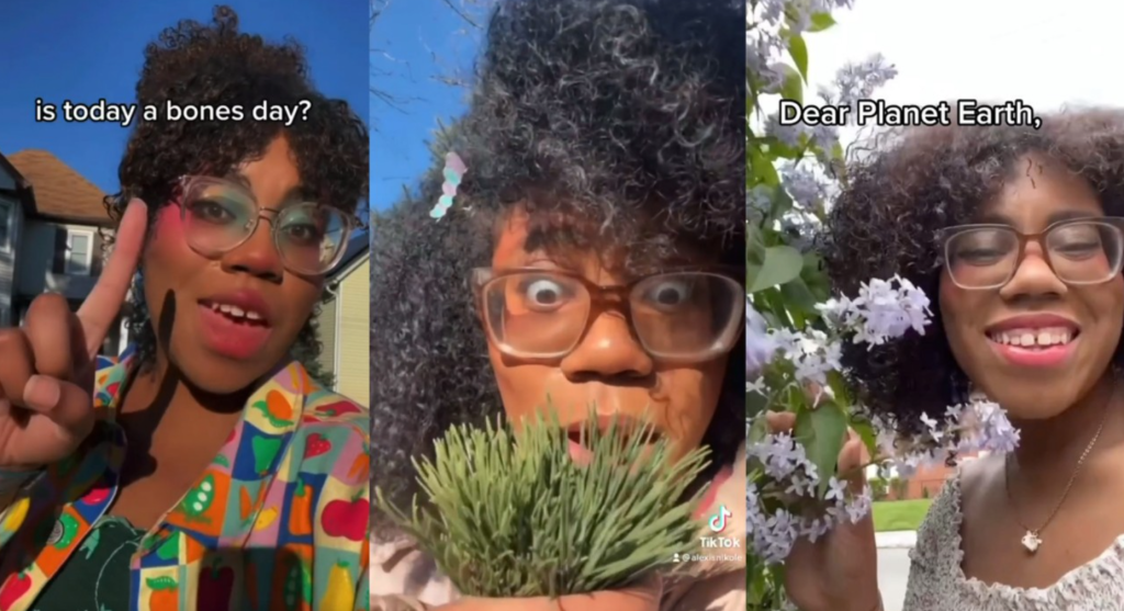 Images from foraging expert and TikTok content creator Alexis Nicole