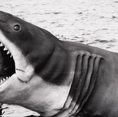 Image of the puppet shark from Jaws, with Steven Spielberg holding its mouth open